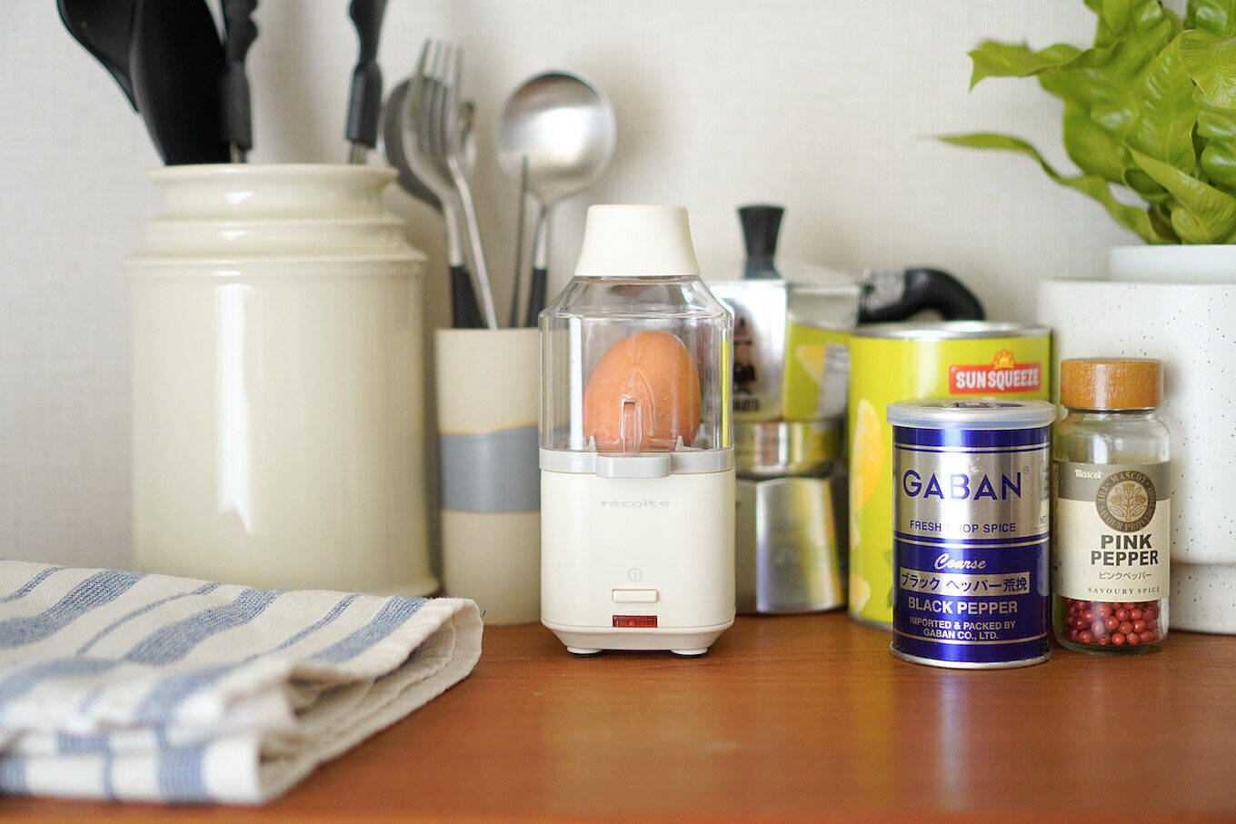 【編集部が使ってみた】初めてのエッグスチーマーで感動！可愛い見た目のお役立ちアイテムです