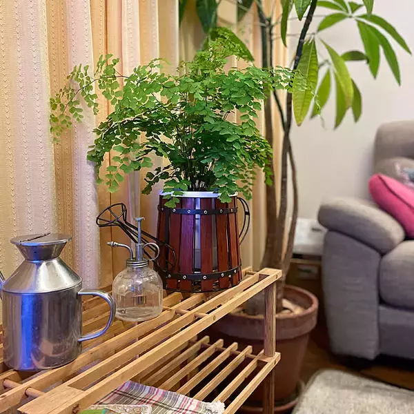 「【今週の〇〇】テーマは「植物のある暮らし」！最新の投稿写真をピックアップ」の画像