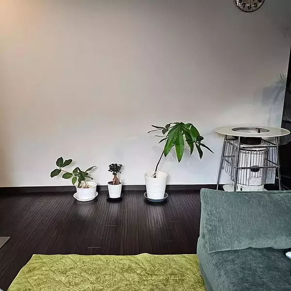 「【今週の〇〇】テーマは「植物のある暮らし」！最新の投稿写真をピックアップ」の画像