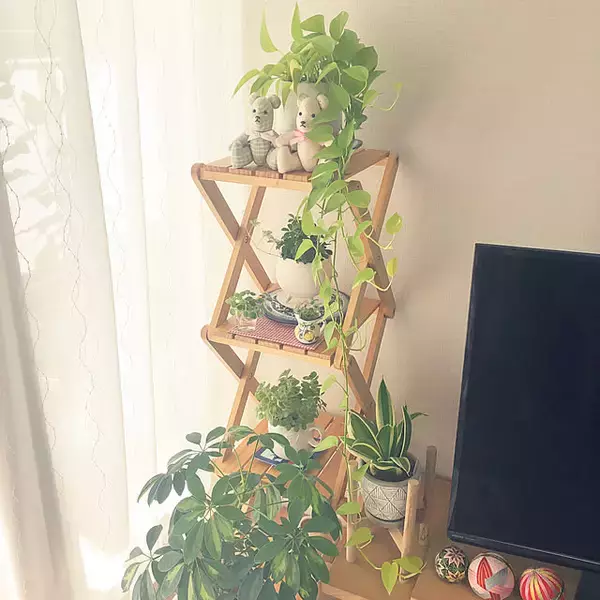 「あったらいいなを叶えてくれる♪ベルメゾンの折りたたみラックのある暮らし」の画像