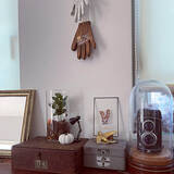 「ダイソーのミニ植物はどんな種類がある？立派に成長したミニ植物の姿もご紹介」の画像2