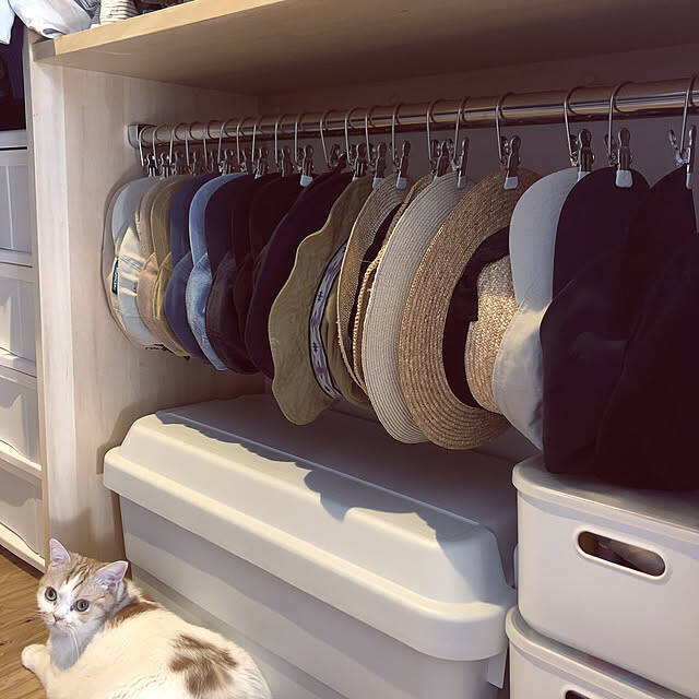 ノンストレスな使い心地！用途で選べる「MAWAハンガー」シリーズ大集合