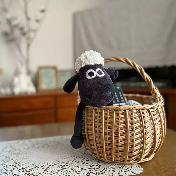 「テーブルやテレビまわりを使いやすく整える☆お部屋に馴染むリモコン収納のヒント」の画像