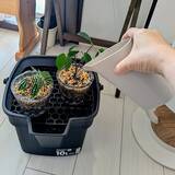 「【今週の〇〇】テーマは「植物のある暮らし」！最新の投稿写真をピックアップ」の画像2