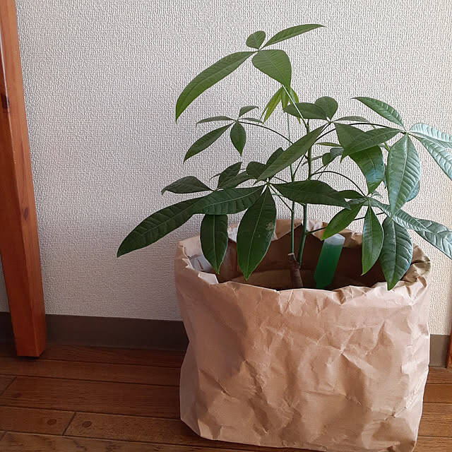 手放す前にまだ活かせる！加工しやすく暮らしに役立つ米袋の再利用方法6選