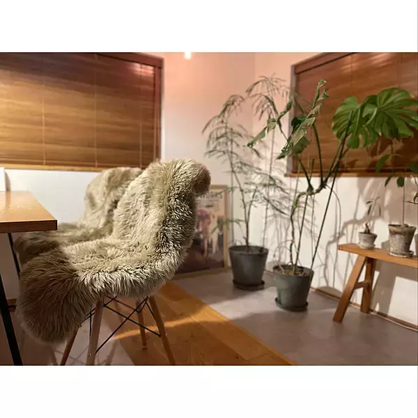 「冬の暮らしを快適に♡お部屋であたたかく過ごせるおすすめアイテム」の画像