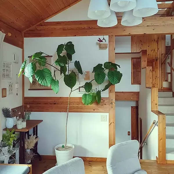 【今週の〇〇】テーマは「植物」！最新の投稿写真をピックアップ