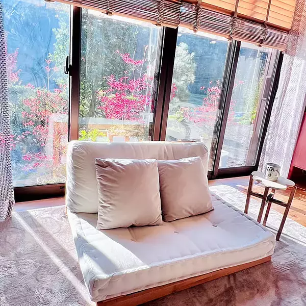 「【今週の〇〇】テーマは「植物」！最新の投稿写真をピックアップ」の画像