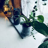 「使いやすくてデザインも◎日々の暮らしが快適になる「マーナ」の製品」の画像5