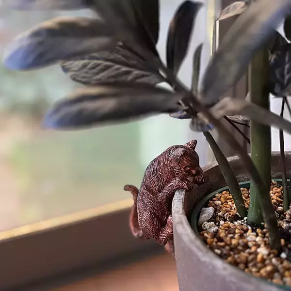 「「人と猫、植物がみんな安らぐ和モダン×ナチュラル」 by greycatsさん」の画像