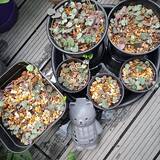 「ガーデニングがもっと楽しくなる♪セリアで見つけたおすすめアイテム6選」の画像2