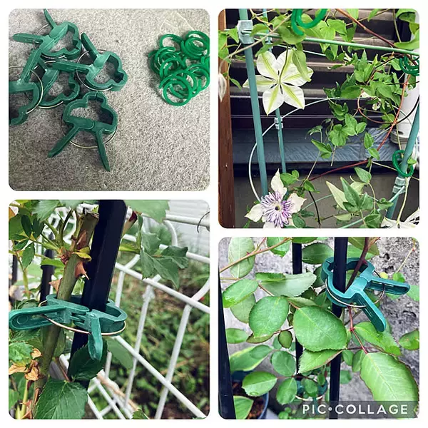 「ガーデニングがもっと楽しくなる♪セリアで見つけたおすすめアイテム6選」の画像