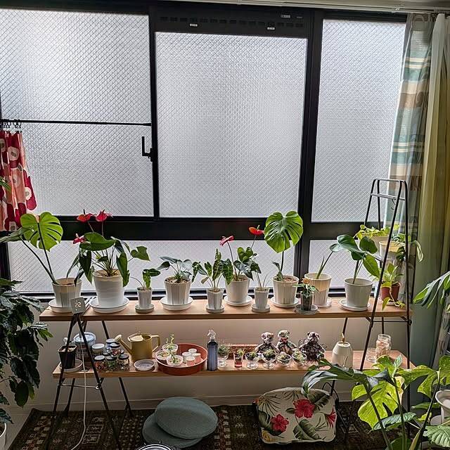 「北欧×ハワイアンな住まいで楽しむ、旅をするような暮らし」 by kolo92さん