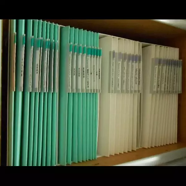 「スッキリ収納できて見つけやすい！「取扱説明書」の整理と収納の方法」の画像