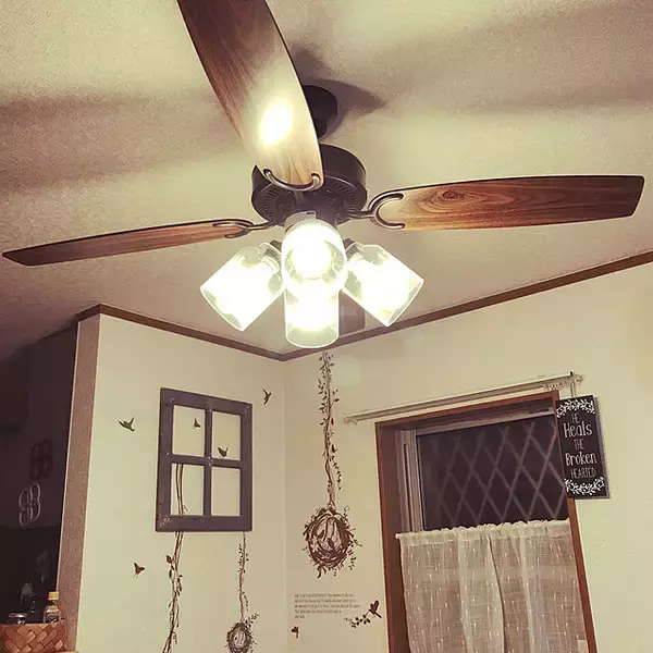 「見た目も機能もばっちり♡シーリングファンライトがあるお部屋」の画像