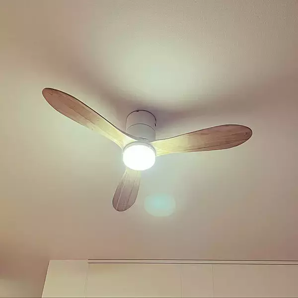 「見た目も機能もばっちり♡シーリングファンライトがあるお部屋」の画像
