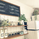 「料理のモチベーションが上がる♪ニトリの「ごきげんになれる」キッチンアイテム」の画像5