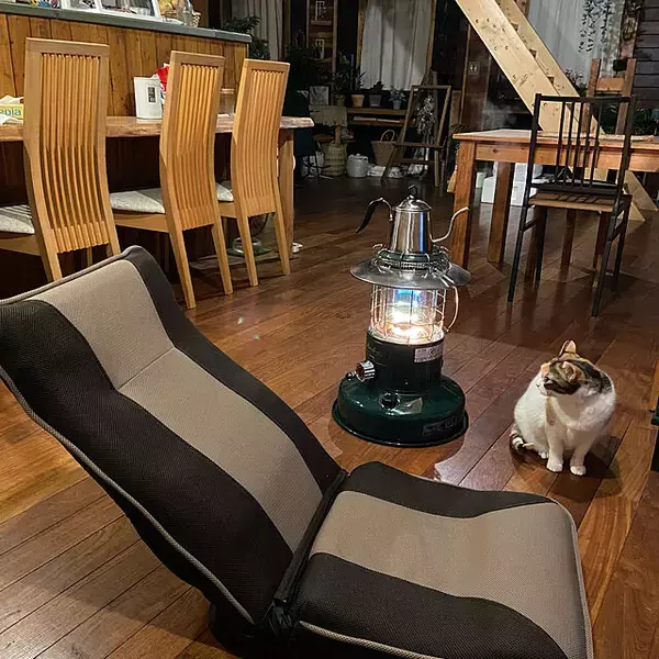 「1人時間が充実するお部屋作りに♪ゆったり座れる1人掛けアイテム」の画像