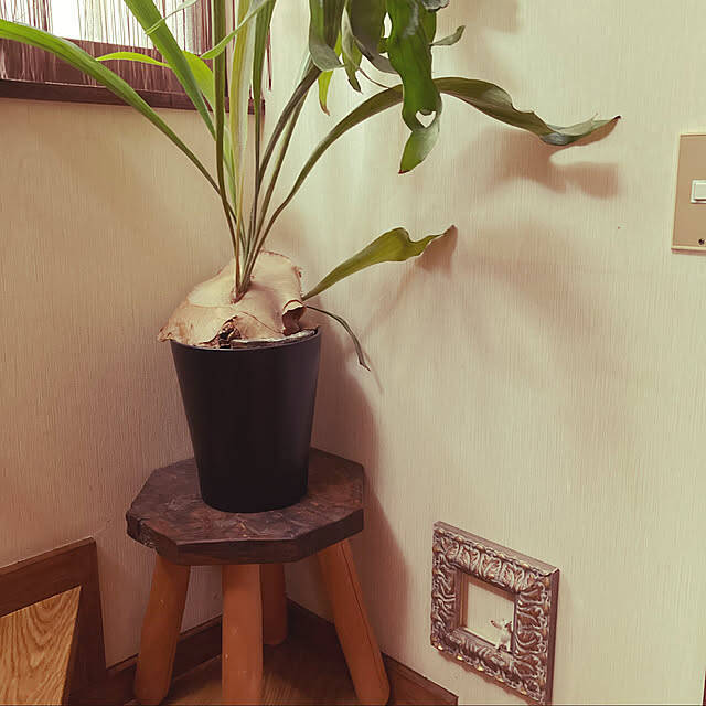 実際にやってみた！壁にあいた穴を目立たなくする方法とアイデアの実例集