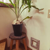 「実際にやってみた！壁にあいた穴を目立たなくする方法とアイデアの実例集」の画像6