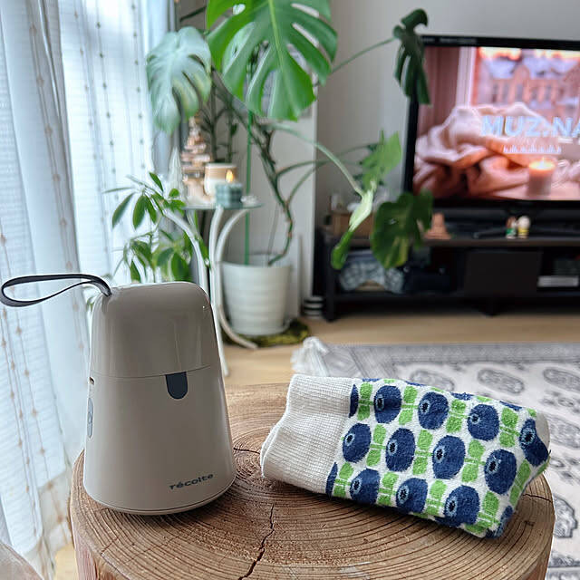 やさしいフォルムやカラーにときめく♪毎日が少しうれしくなるレコルトの家電