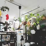 「床に置かなくてもグリーンを飾れる！吊るして彩る、ハンギングプランターのある暮らし」の画像1