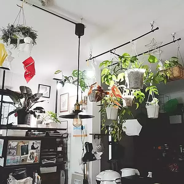 床に置かなくてもグリーンを飾れる！吊るして彩る、ハンギングプランターのある暮らし