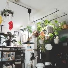床に置かなくてもグリーンを飾れる！吊るして彩る、ハンギングプランターのある暮らし