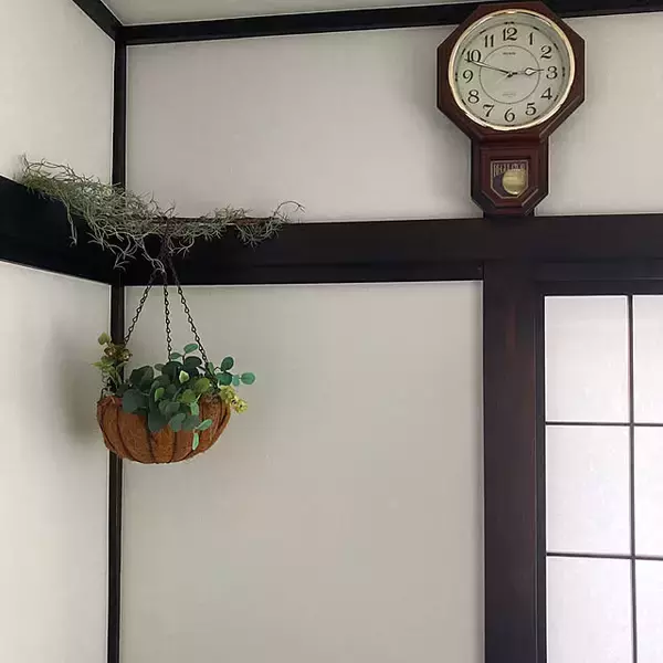 「床に置かなくてもグリーンを飾れる！吊るして彩る、ハンギングプランターのある暮らし」の画像
