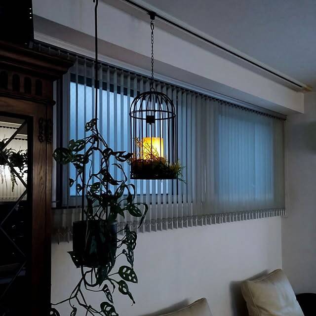 床に置かなくてもグリーンを飾れる！吊るして彩る、ハンギングプランターのある暮らし