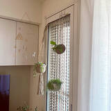 「床に置かなくてもグリーンを飾れる！吊るして彩る、ハンギングプランターのある暮らし」の画像4