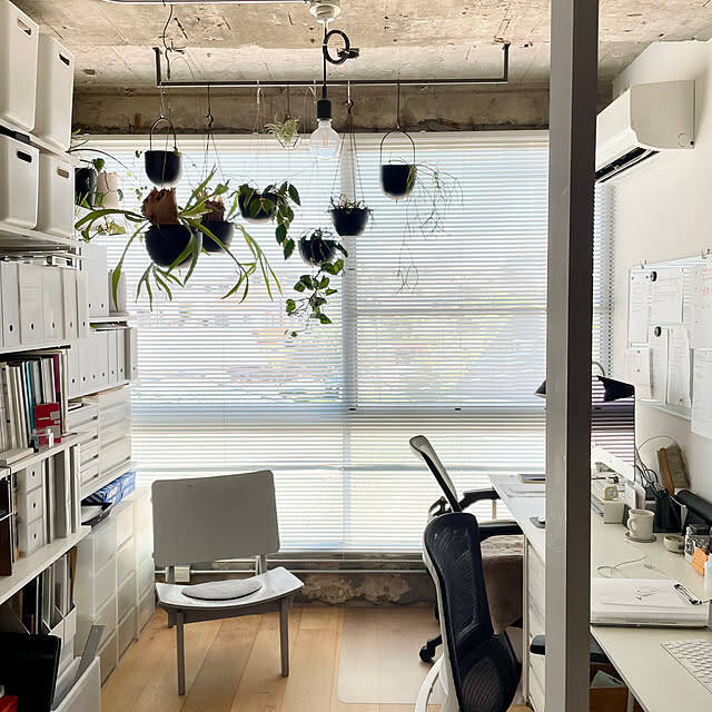 床に置かなくてもグリーンを飾れる！吊るして彩る、ハンギングプランターのある暮らし