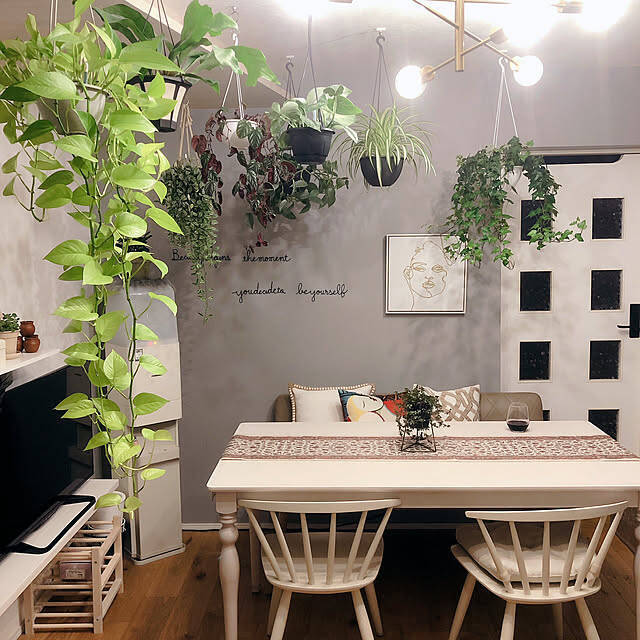 床に置かなくてもグリーンを飾れる！吊るして彩る、ハンギングプランターのある暮らし