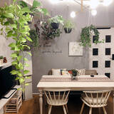 「床に置かなくてもグリーンを飾れる！吊るして彩る、ハンギングプランターのある暮らし」の画像6