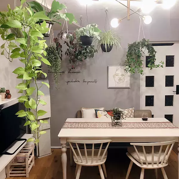 「床に置かなくてもグリーンを飾れる！吊るして彩る、ハンギングプランターのある暮らし」の画像