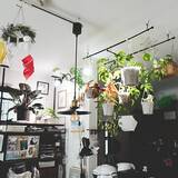 「床に置かなくてもグリーンを飾れる！吊るして彩る、ハンギングプランターのある暮らし」の画像7