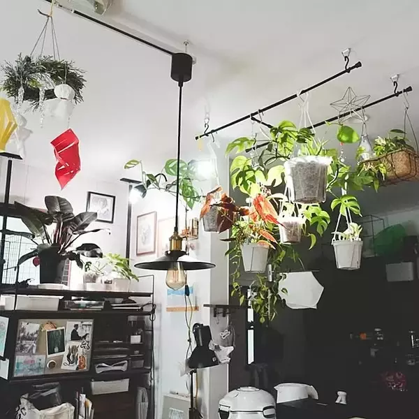 「床に置かなくてもグリーンを飾れる！吊るして彩る、ハンギングプランターのある暮らし」の画像