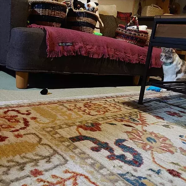 「「一枚でインテリアの色遊びが叶う、大判のマルチカバー」 by fukuさん」の画像