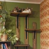 「突っ張り不要で原状回復もOK！壁面DIYの可能性が広がる「スタンドバー」活用実例」の画像6