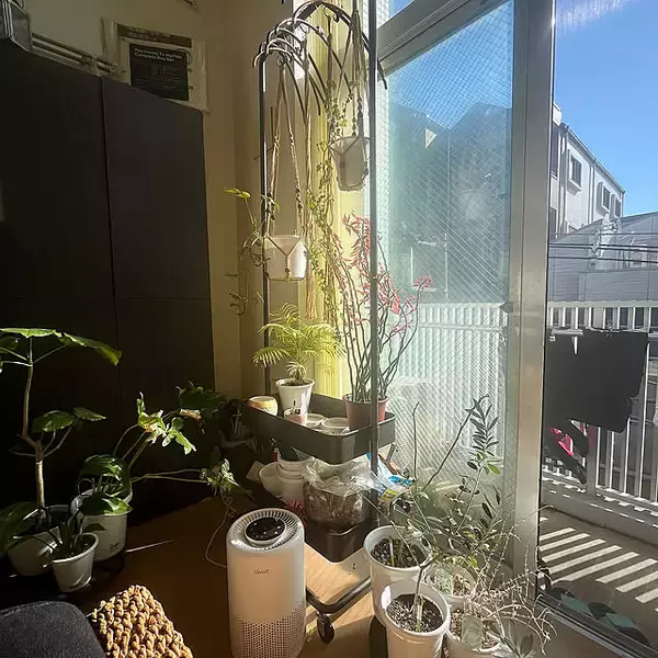 【今週の〇〇】テーマは「植物のある暮らし」！最新の投稿写真をピックアップ