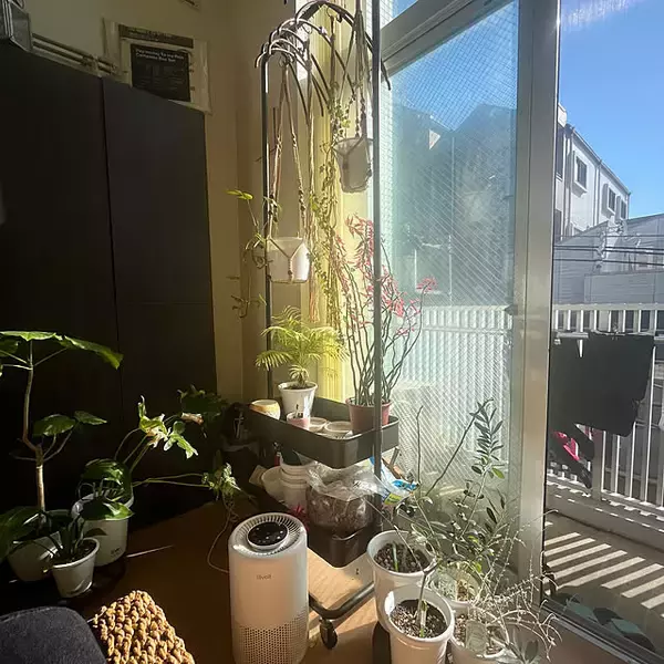 「【今週の〇〇】テーマは「植物のある暮らし」！最新の投稿写真をピックアップ」の画像