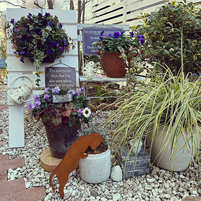 【今週の〇〇】テーマは「植物のある暮らし」！最新の投稿写真をピックアップ