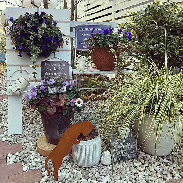 「【今週の〇〇】テーマは「植物のある暮らし」！最新の投稿写真をピックアップ」の画像