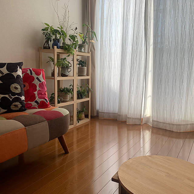 【今週の〇〇】テーマは「植物のある暮らし」！最新の投稿写真をピックアップ