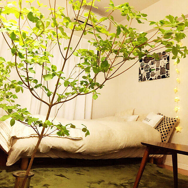 愛らしい花びらでお部屋に季節感を。枝物のドウダンツツジがあるお部屋