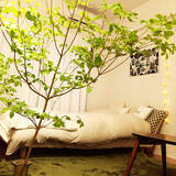 「愛らしい花びらでお部屋に季節感を。枝物のドウダンツツジがあるお部屋」の画像10
