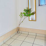 「愛らしい花びらでお部屋に季節感を。枝物のドウダンツツジがあるお部屋」の画像3