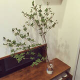 「愛らしい花びらでお部屋に季節感を。枝物のドウダンツツジがあるお部屋」の画像4
