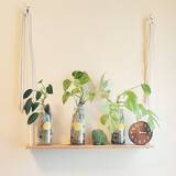 「【今週の〇〇】テーマは「植物のある暮らし」！最新の投稿写真をピックアップ」の画像1