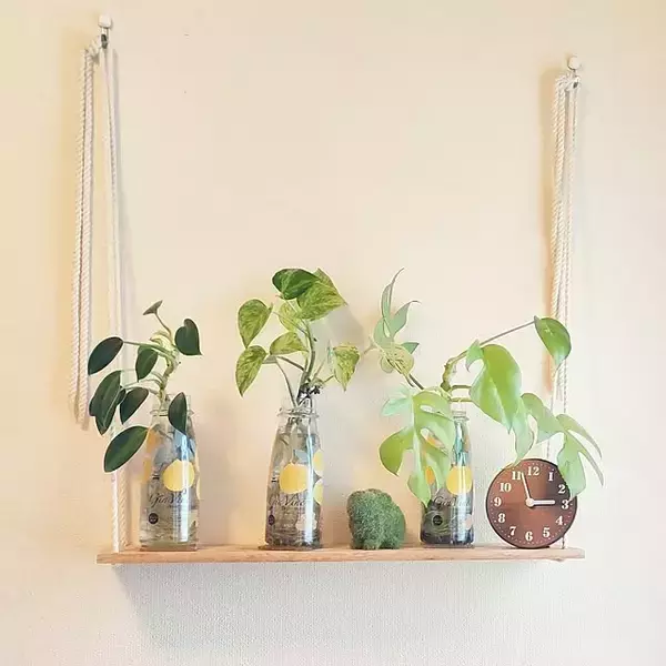 【今週の〇〇】テーマは「植物のある暮らし」！最新の投稿写真をピックアップ